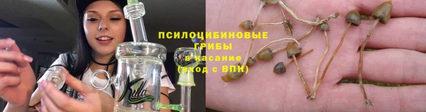 прущие крисы Медвежьегорск