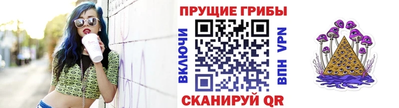 Псилоцибиновые грибы Magic Shrooms  где купить наркотик  Павловск 