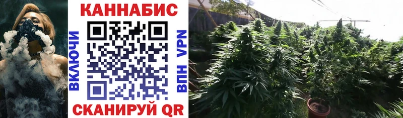hydra сайт  купить  цена  Павловск  shop официальный сайт  Бошки марихуана индика 